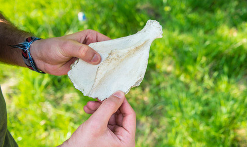 A photograph of somebody handling a pottery artefact.