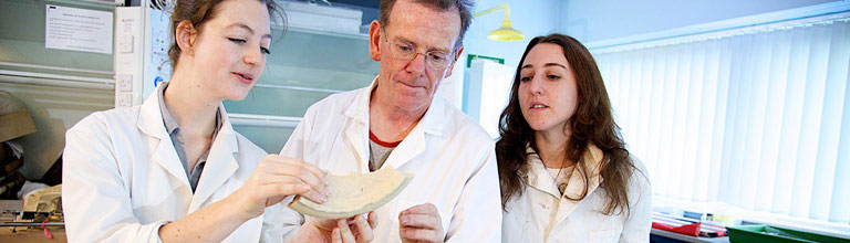 An academic staff member working with students on an ancient artefact.