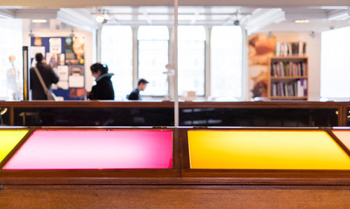 Manchester Museum's study area